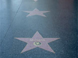 Sterne am "Walk of Fame"